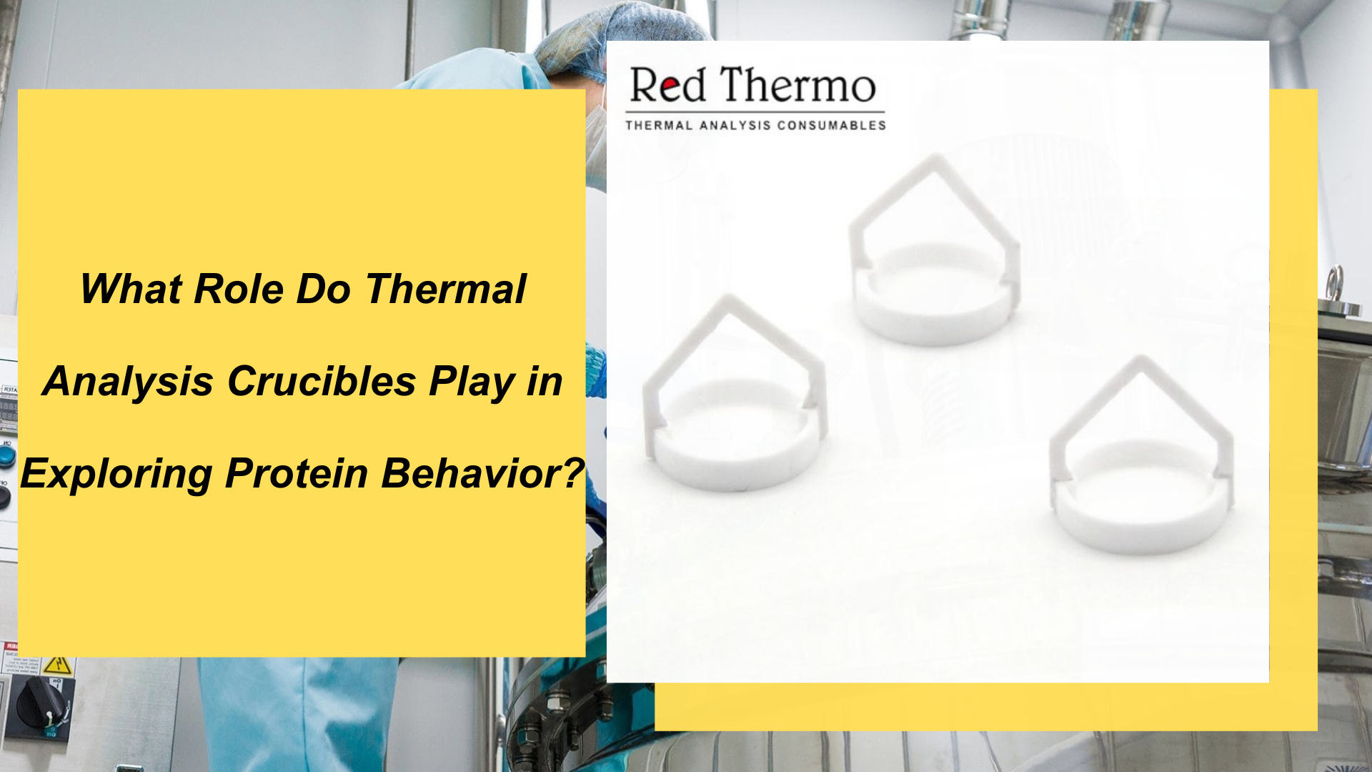 What Role Do Thermal Analysis Crucibles Play in Exploring Protein Behavior?